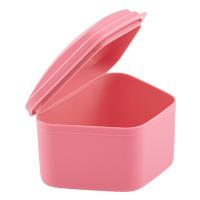 Revyline Denture Box 06 контейнер для хранения зубных конструкций